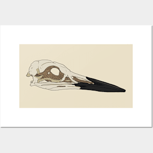 Bird Skull Posters and Art